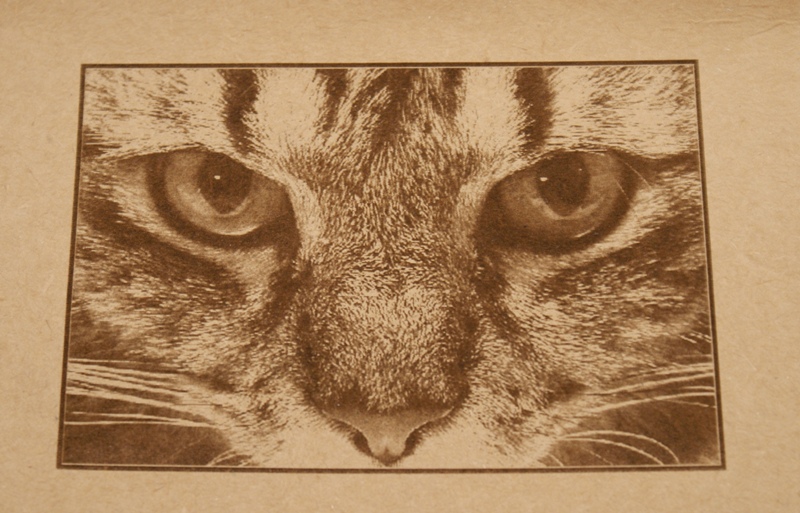 A Gallery of some images produced using the UCCNC Laser Engraving plugin. File